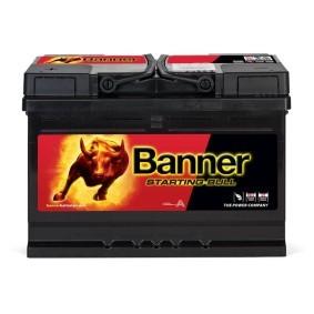 Batterie 010572330101 von BANNER günstig für 153,32 € online kaufen