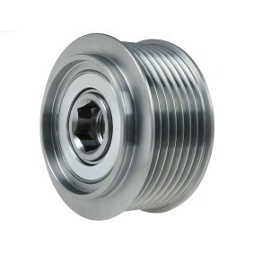 Comprar Rueda libre de alternador de AS-PL AFP5061S a bajo precio de 29,98 €