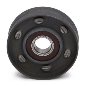 Spannrolle, Keilrippenriemen R31033-1-PCS-MS von MASTER-SPORT günstig für 13,12 € online kaufen
