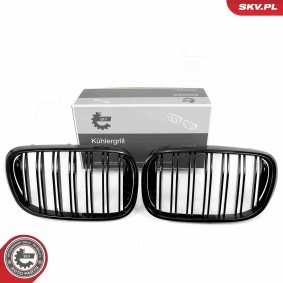 Kühlergrill für BMW von ESEN SKV