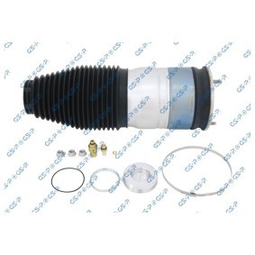 Compre Mola pneumática da GSP 35200920 a um preço baixo por 246,76 €