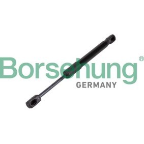 Motorhaubendämpfer des Herstellers Borsehung - Originalware Artikelnummer: B12476