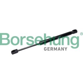 Motorhaubendämpfer des Herstellers Borsehung - Originalware Artikelnummer: B12478