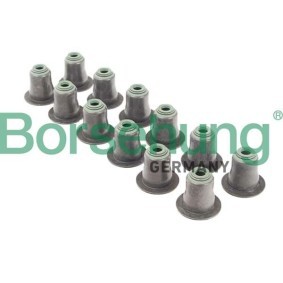 Ventilschaftdichtung des Herstellers Borsehung - Originalware Artikelnummer: B12507