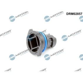 Osta Kierretulppa, öljypohja DR.MOTOR AUTOMOTIVE:llä DRM02857 edullisesti hintaan 15,99 €