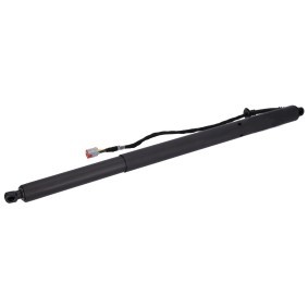 Compre Amortecedor da mala de FEBI BILSTEIN online para Focus Mk4 Turnier (HP) a preços moderados