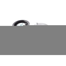 Compre Tensor da correia do alternador de BOGAP online para GT-R (R35) a preços moderados