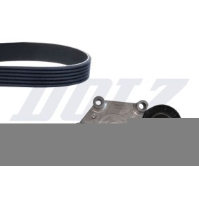 Compre Jogo de correias trapezoidais estriadas da DOLZ SKD314A a um preço baixo por 51,14 €
