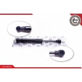 Compre Amortecedor da mala de ESEN SKV online para Focus Mk4 Turnier (HP) a preços moderados