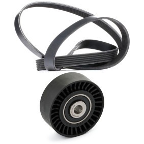 Comprar Juego de correas trapeciales poli V de RIDEX 542R1348 a bajo precio de 34,23 €