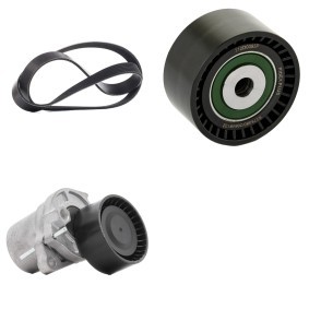Compre Kit de correa de alternador de RIDEX PLUS online para Vivaro B Combi (X82) a precios moderados
