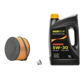 Filtersatz mit Motoröl 100374T0265P von RIDEX PLUS günstig für 55,31 € online kaufen
