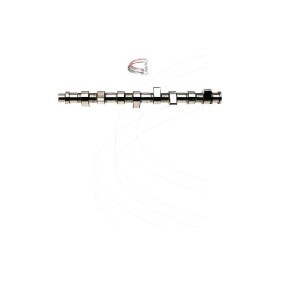 Nockenwelle CP10256 von CAMPRO günstig für 285,99 € online kaufen