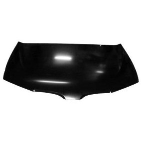 Motorhaube 6016000