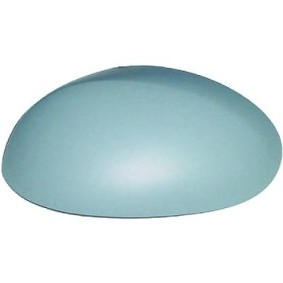 Compre Revestimento, retrovisor exterior da DIEDERICHS 6600028 a um preço baixo por 13,74 €