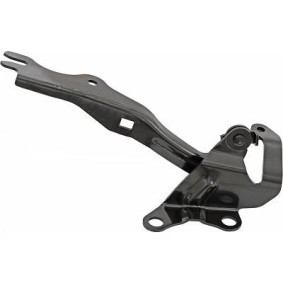 Comprar Bisagra, capó del motor de DIEDERICHS 5618019 a bajo precio de 15,56 €