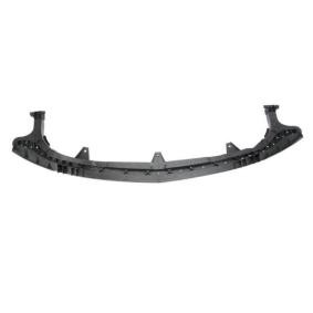 Compre Revestimento dianteiro da BLIC 6502-03-5053230P a um preço baixo por 49,47 €
