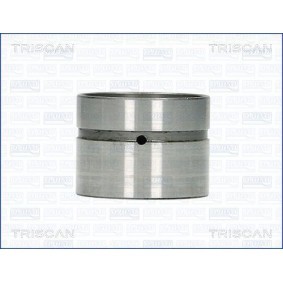 Hydrostößel für NISSAN von TRISCAN