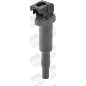 Kühlerlüfter LE079 von BERU günstig für 145,76 € online kaufen