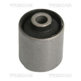 Acquista Supporto assale da TRISCAN 8500 10810 a buon mercato per soli 6,66 €