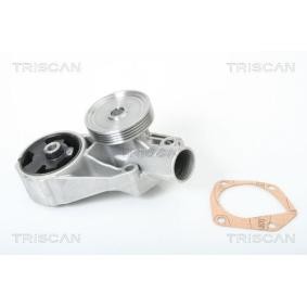 Wasserpumpe von TRISCAN