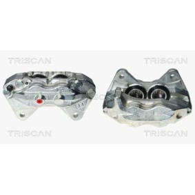 Compre Amortiguador de la correa trapezoidal poli V de TRISCAN online para 9000 a precios moderados