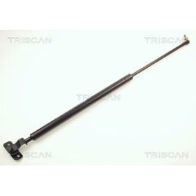 Heckklappendämpfer für TOYOTA von TRISCAN