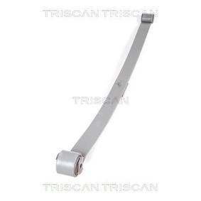 Federpaket für PEUGEOT von TRISCAN