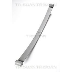 Federpaket für PEUGEOT von TRISCAN