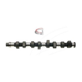 Nockenwelle CP10203 von CAMPRO günstig für 240,64 € online kaufen