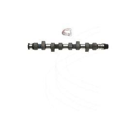 Nockenwelle CP10214 von CAMPRO günstig für 236,53 € online kaufen