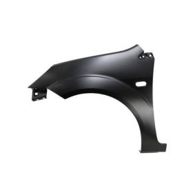 Kotflügel 6504-04-2564311P