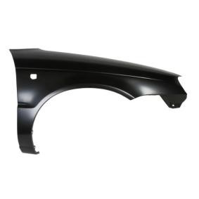 Kotflügel 6504-04-6813314P von BLIC günstig für 63,60 € online kaufen