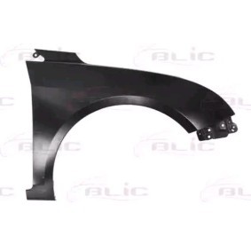 Kotflügel 6504-04-9036312P von BLIC günstig für 153,04 € online kaufen