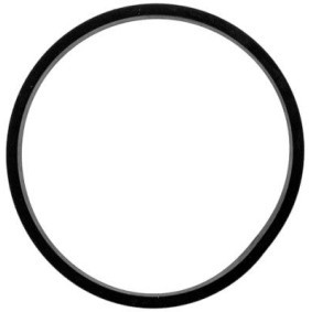 Dichtung, Thermostat für MERCEDES-BENZ von HELLA