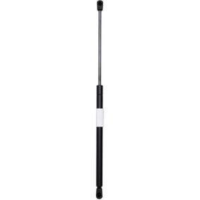 Compre Amortiguador de maletero de DIEDERICHS online para ESCORT CLASSIC Turnier (ANL) a precios moderados