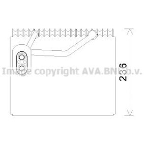 Acquista Evaporatore climatizzatore da PRASCO HYV367 a buon mercato per soli 209,22 €