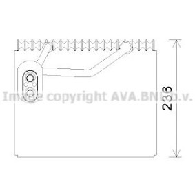 Acquista Evaporatore climatizzatore da PRASCO HYV368 a buon mercato per soli 226,55 €