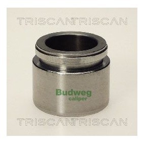 Temperaturschalter, Kühlerlüfter 8625 171087 von TRISCAN günstig für 12,03 € online kaufen