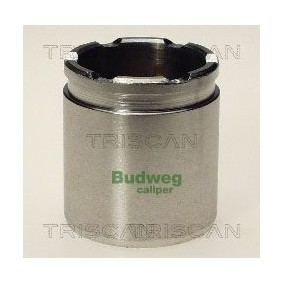 Temperaturschalter, Kühlerlüfter 8625 75092 von TRISCAN günstig für 13,14 € online kaufen