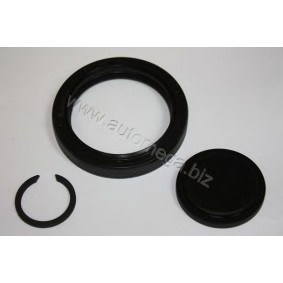 Comprar Juego de reparación, brida de caja de cambios de AUTOMEGA 304980085020E a bajo precio de 3,09 €