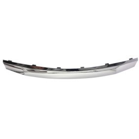 Comprar Listón embellecedor / protector, panal de radiador de BLIC 6502-07-1302991P a bajo precio de 47,06 €