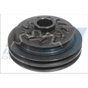 Compre Polia, cambota da IJS GROUP 17-1079 a um preço baixo por 134,56 €