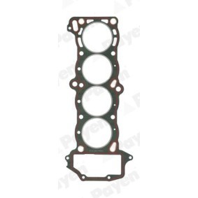 Compre Junta de culata de PAYEN online para Sunny III Furgón (Y10) a precios moderados