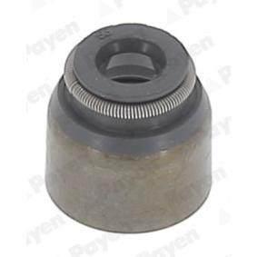 Compre Retentor de válvula de PAYEN online para Bluebird Sylphy II Sedan (G11) a preços moderados