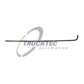 Zier- / Schutzleiste, Seitenwand für MERCEDES-BENZ von TRUCKTEC AUTOMOTIVE