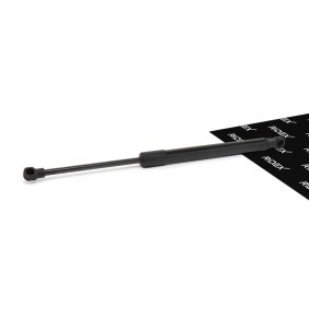 Heckklappendämpfer 219G0204
