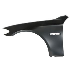 Kotflügel 6504-04-0067311P von BLIC günstig für 71,19 € online kaufen