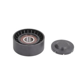 Spannrolle, Keilrippenriemen E2W0028BTA von BTA günstig für 50,56 € online kaufen