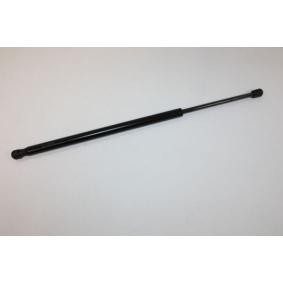 Heckklappendämpfer 100007110